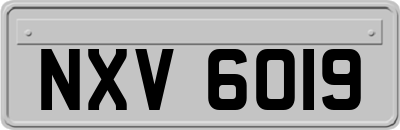 NXV6019