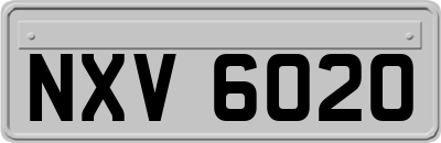 NXV6020