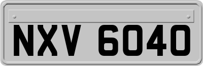 NXV6040