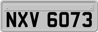 NXV6073