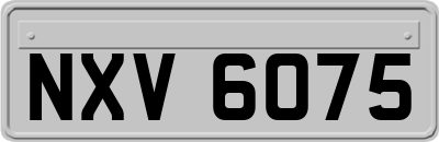 NXV6075