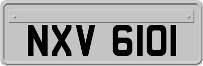 NXV6101