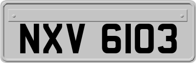 NXV6103