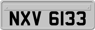 NXV6133