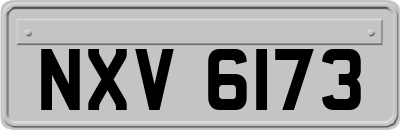 NXV6173