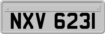NXV6231
