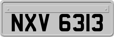 NXV6313