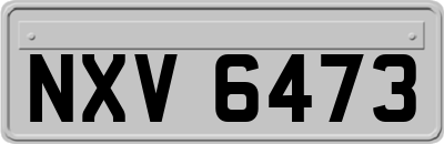 NXV6473