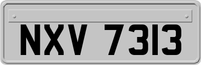 NXV7313