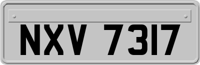 NXV7317