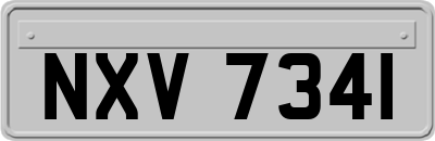 NXV7341