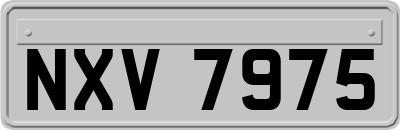 NXV7975