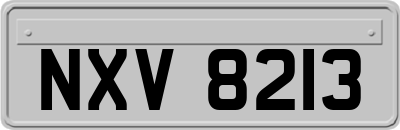 NXV8213