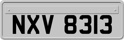 NXV8313