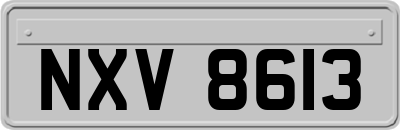 NXV8613