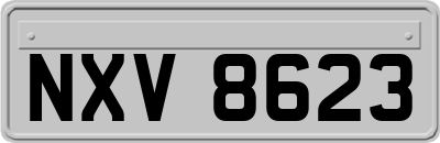 NXV8623