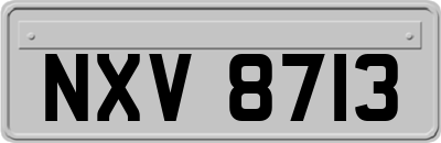 NXV8713