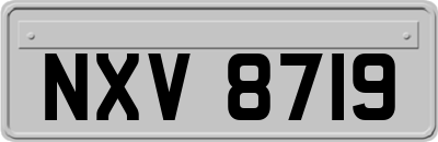 NXV8719