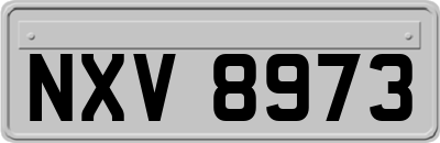 NXV8973