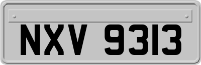 NXV9313