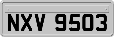 NXV9503