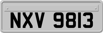 NXV9813