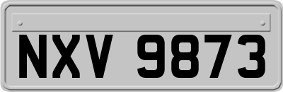 NXV9873
