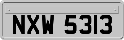 NXW5313