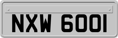 NXW6001