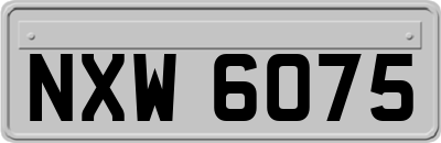 NXW6075