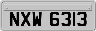 NXW6313