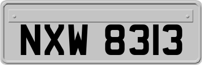 NXW8313