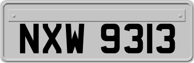 NXW9313