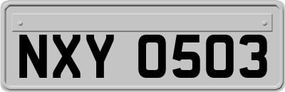 NXY0503