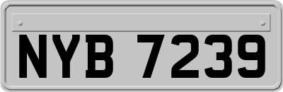 NYB7239