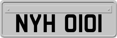 NYH0101