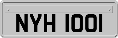 NYH1001