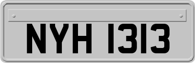 NYH1313