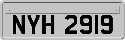 NYH2919