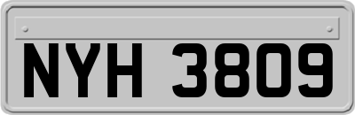 NYH3809