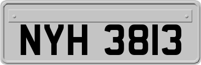 NYH3813