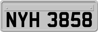 NYH3858