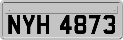 NYH4873