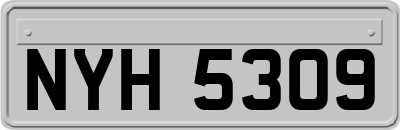 NYH5309
