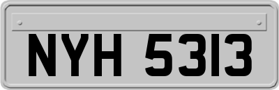 NYH5313