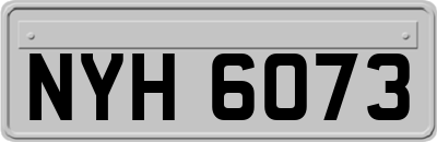 NYH6073