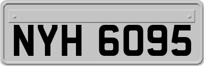 NYH6095