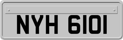 NYH6101