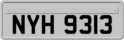 NYH9313