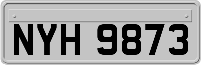 NYH9873